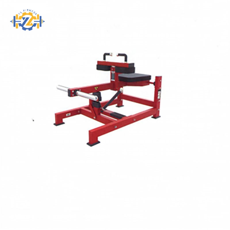 YL-2021